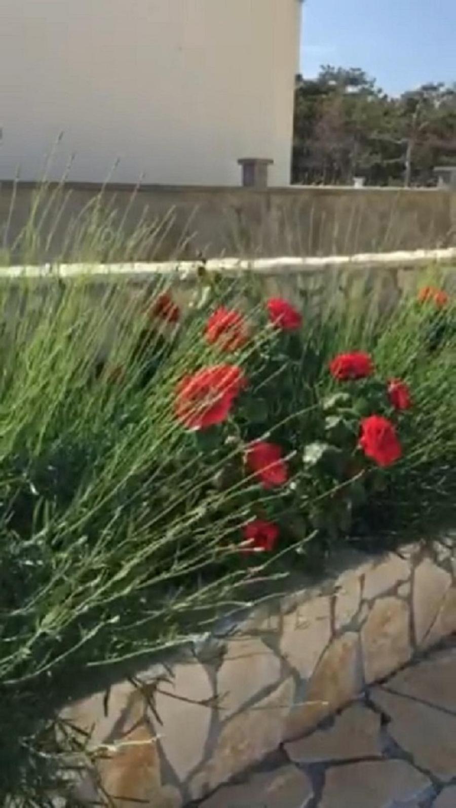 Miro Apartmani Ražanac Exterior foto