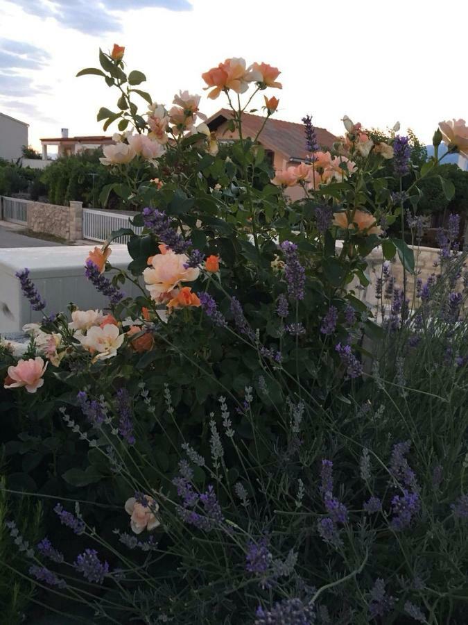 Miro Apartmani Ražanac Exterior foto